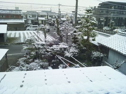 積もらなくて良かった