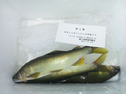 天然鮎
