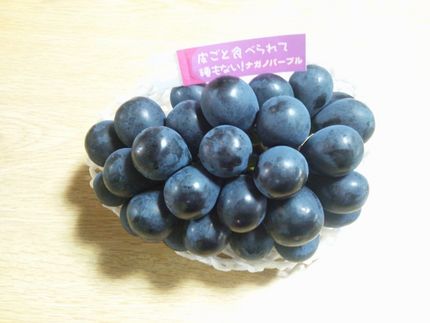 最近のマイブーム？