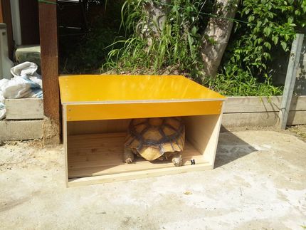 亀小屋完成