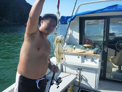 良いサイズが上りました