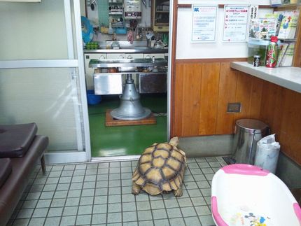 初めての病院