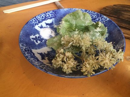 ウドの花と蕗の葉