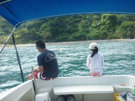 海の魅力に取り付かれ毎週参加の...