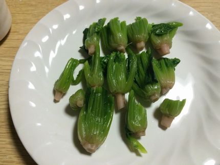 ほうれん草のおひたし