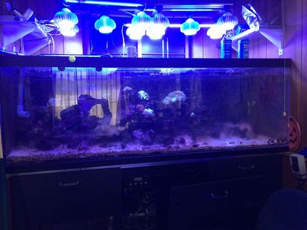 水替え