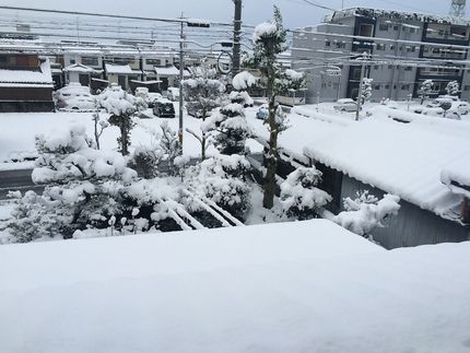 真冬に逆戻り