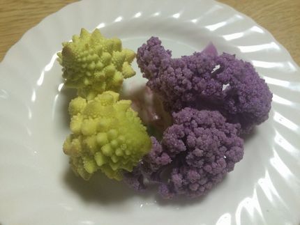 ロマネスコと紫のブロッコリー、...