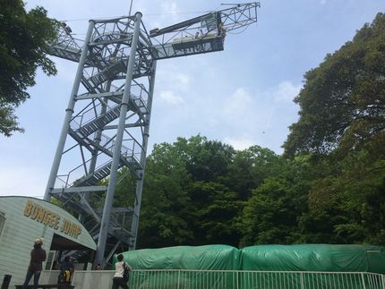 バンジージャンプとイチゴ狩り