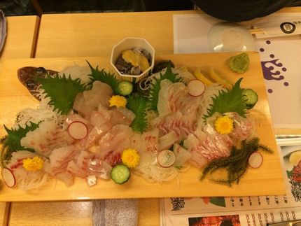 マゴチに真鯛、天然は身がしっか...