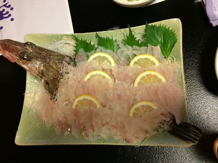 ワニゴチの造り