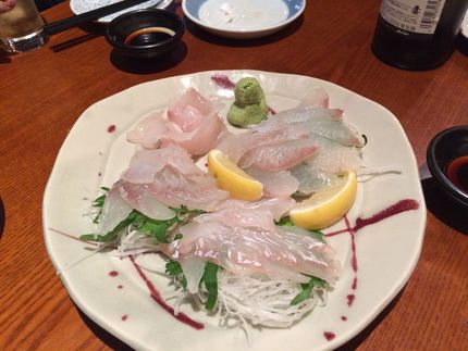 マゴチに平目