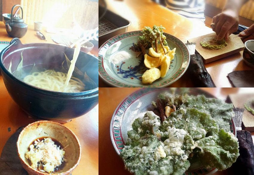 釜揚げうどんに季節の山菜の天麩...