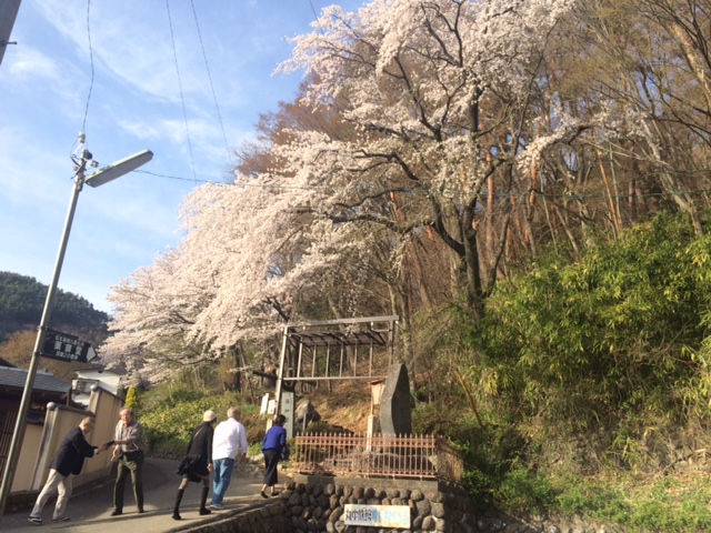 花見