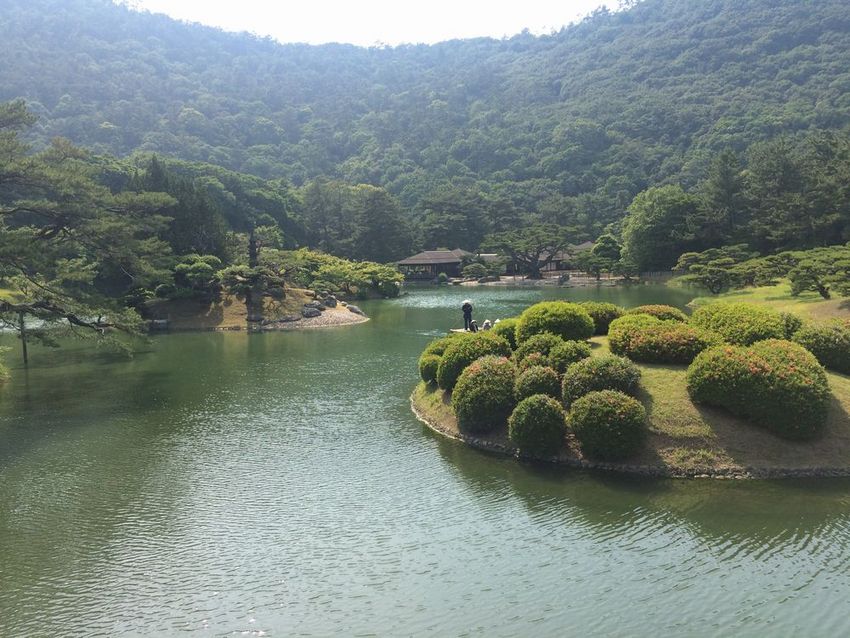 栗林公園BIｒｄｙさんのブログ...