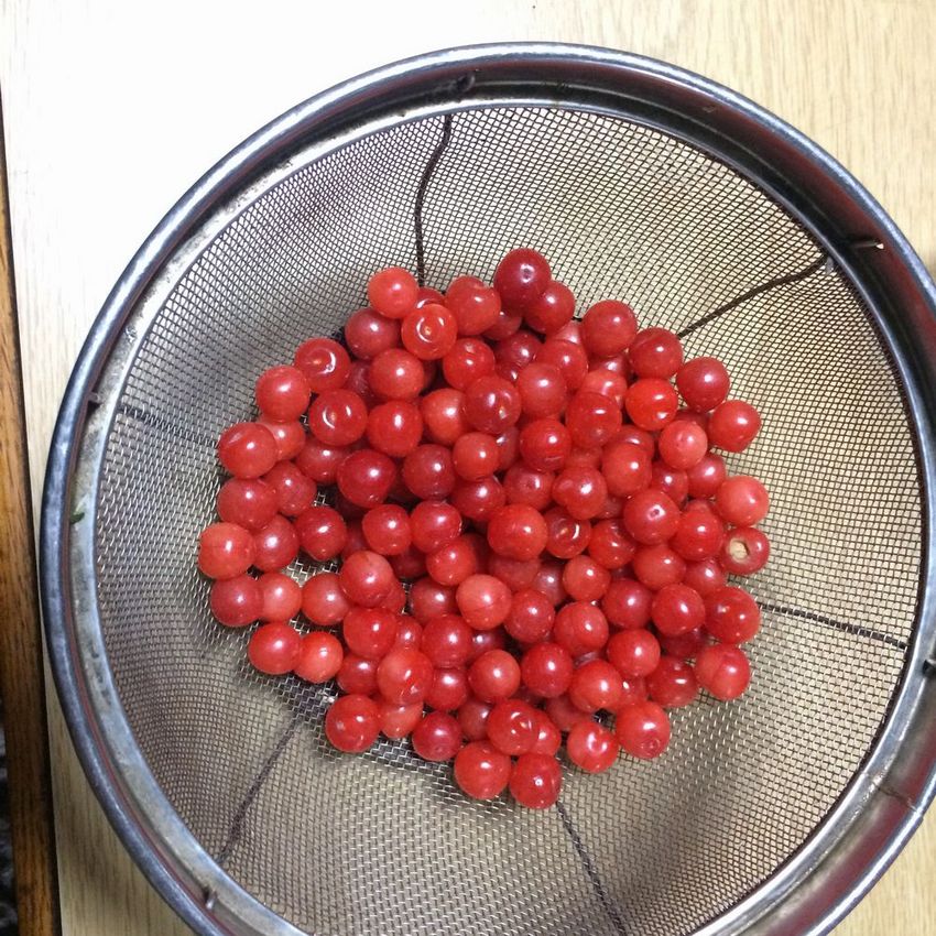 山桜桃梅