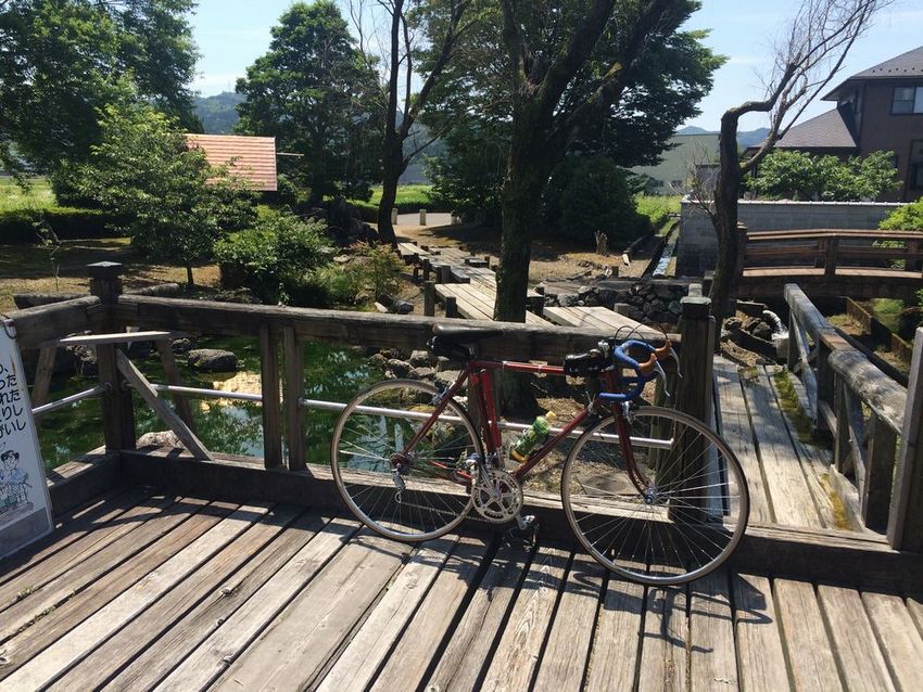 往路のゴール少し手前のハリヨ公...