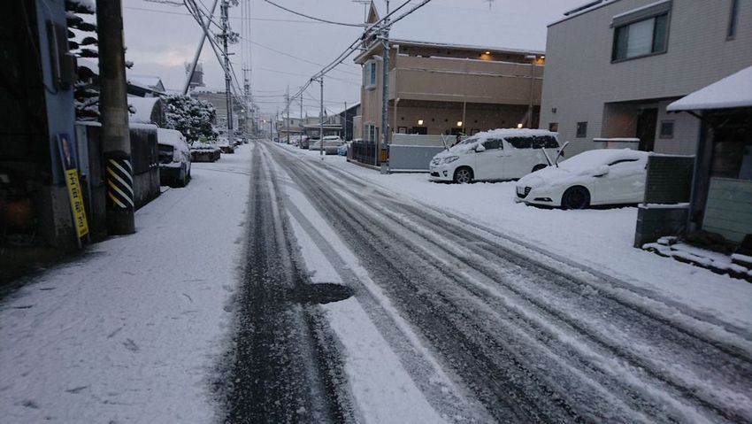 今シーズン初の積雪