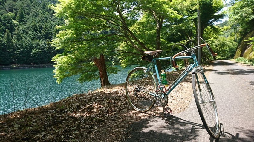 バイクライド 110