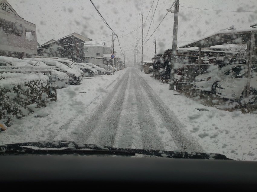 今朝は雪景色