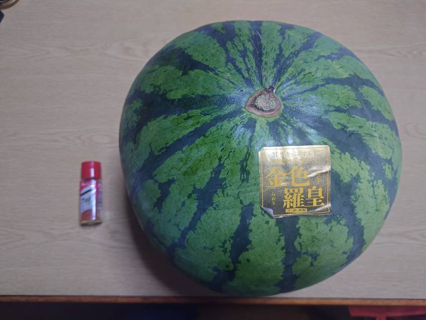 大きなスイカ