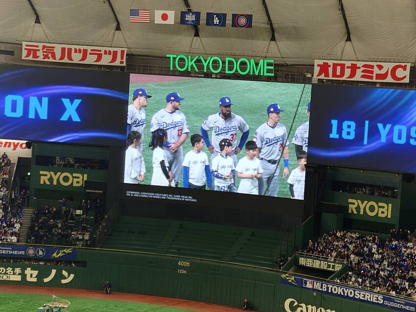 野球観戦