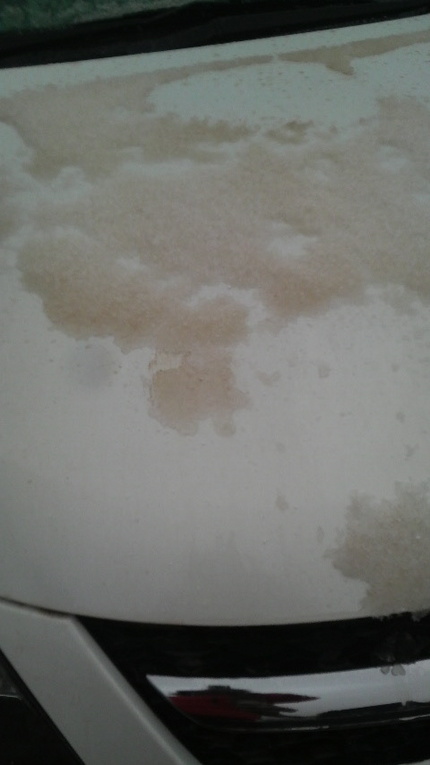 茶色の雪...