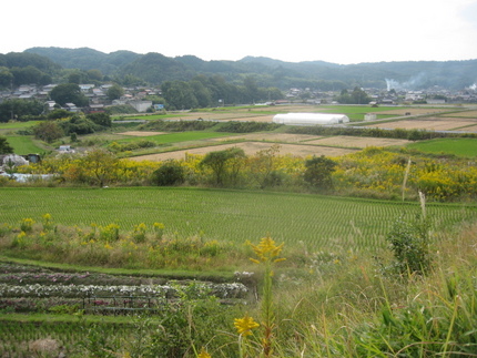 北神戸　丹生山田郷のハイキング