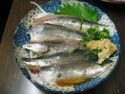 千葉産　大羽いわし刺身