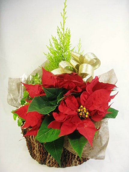 クリスマス・イヴは仕事です