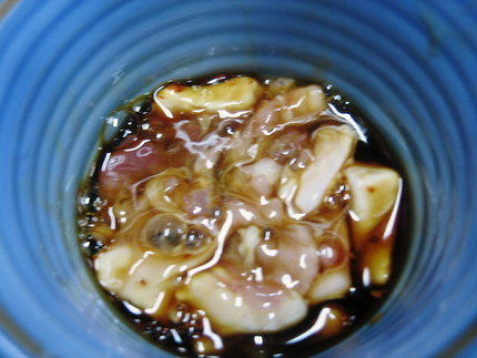 山里の珍味　『鯉の内臓の塩辛』