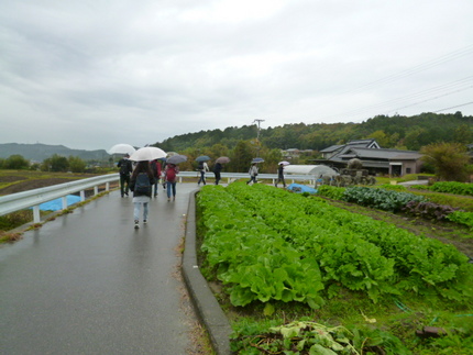 学会の裏六甲里山ハイキング