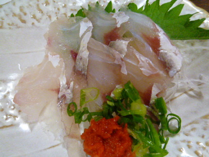 真コチの薄造り