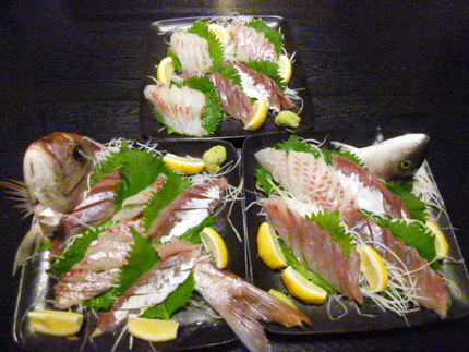 天然鳴門鯛とツバスの造り