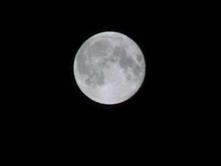 この写真が精一杯でした。　デジ...