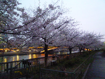 薄暮の大川沿い（南天満公園）　...