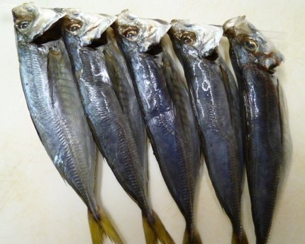 「まるあじ丸干し」　マルサン商...