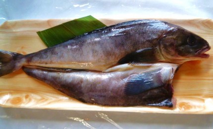 これが真ホッケ。　腹に縦縞があ...