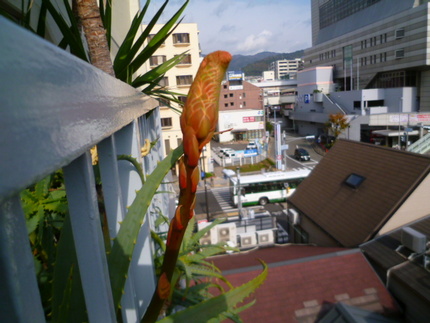 ほとんど大きさは変わっていませ...