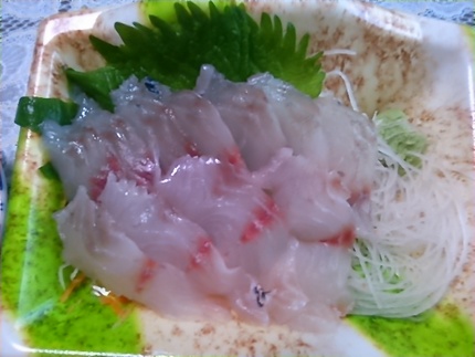 タイの仲間であるチヌはタイと同...