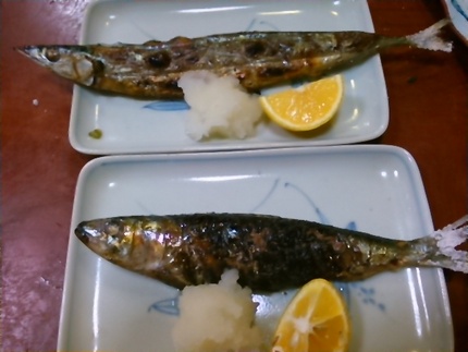 サンマとイワシの食べ比べです。...