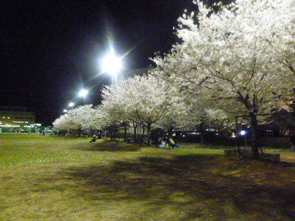 「御崎公園」　神戸市兵庫区御崎...