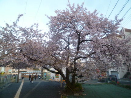 和田岬駅（和田岬線）の構内にあ...
