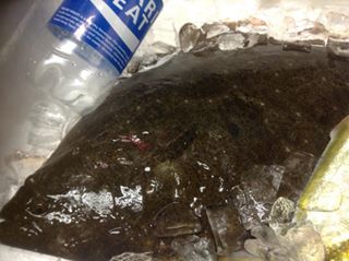 今日のさかなの魚！