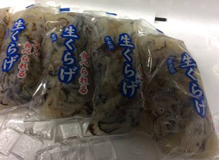 生くらげ！