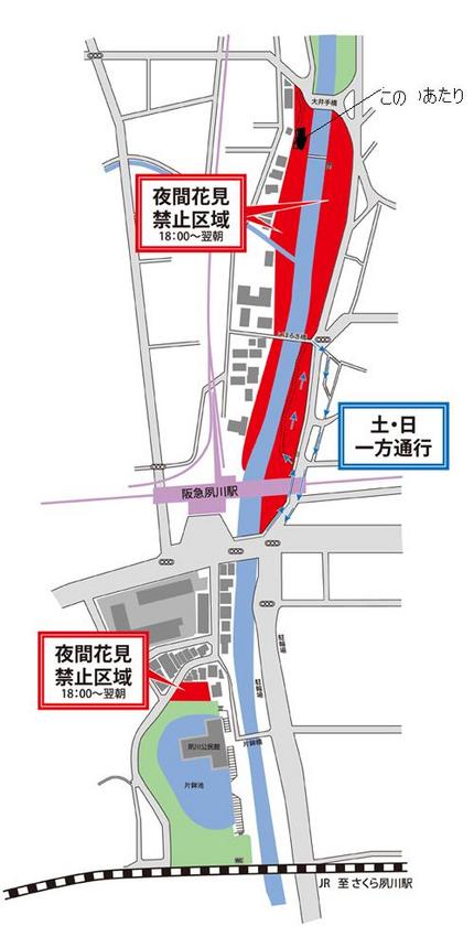 花見スタートです！