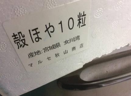 殻ホヤ！