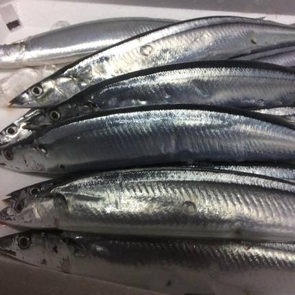秋刀魚が美味しい！