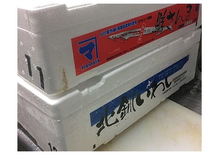 サンマ、いわし高級魚の時代！