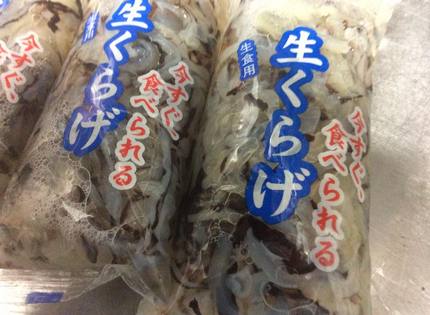 生クラゲ！
